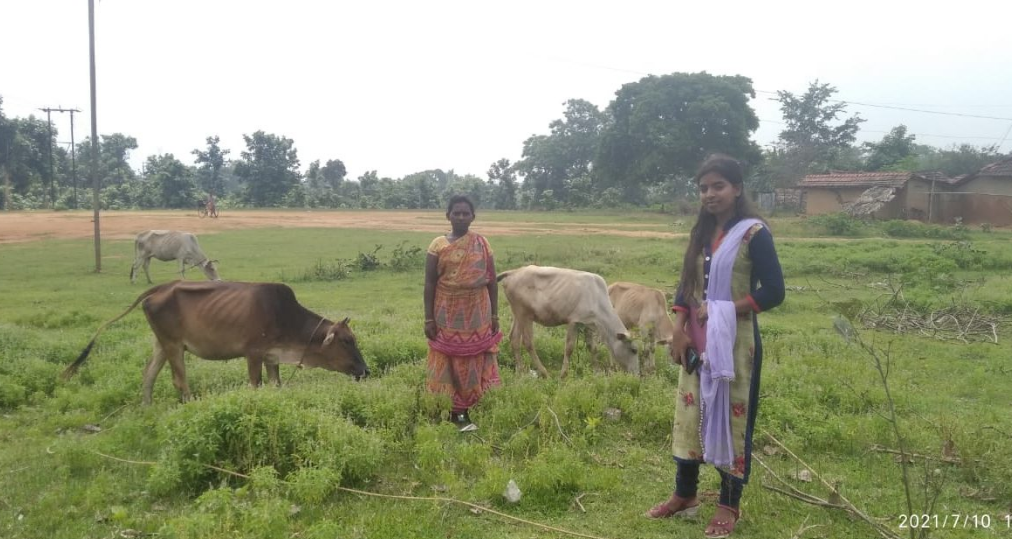 फूलो-झानो आशीर्वाद योजना